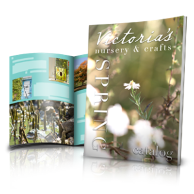 Booklets 8.5" x 11"